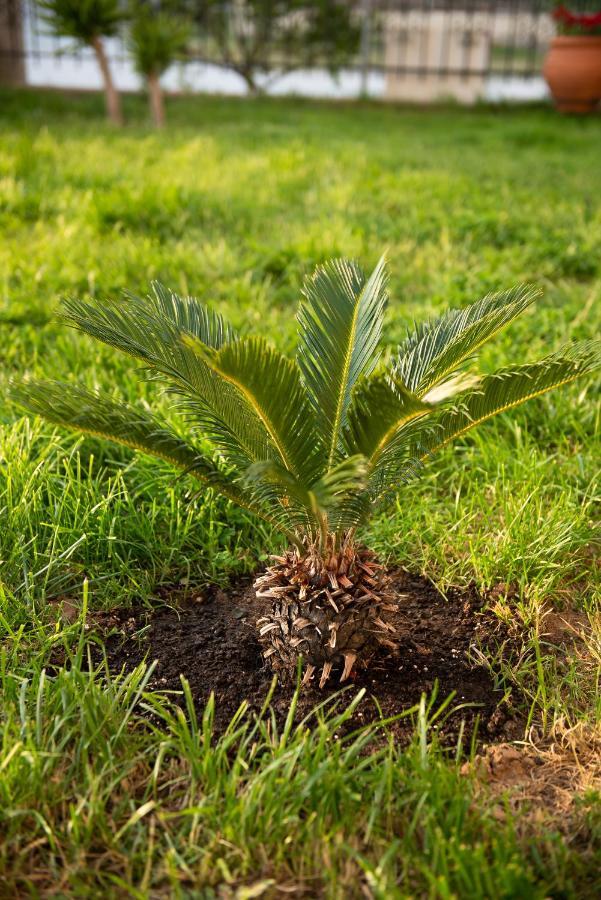 Garden Suite Néa Péramos المظهر الخارجي الصورة
